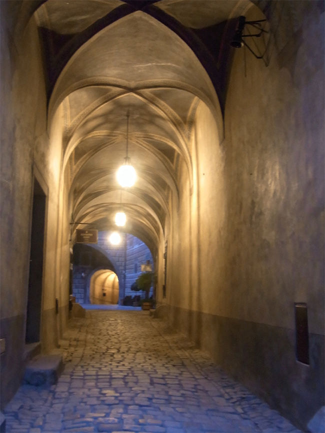 まだまだ、夜は長いぜ！色々見られるぜ！と、再びお城をぶらぶら。写真はお城へと続く坂道です。しかし、欲張って限界を超えても歩いてしまい、後から来る体へのダメージが物凄いのであった。