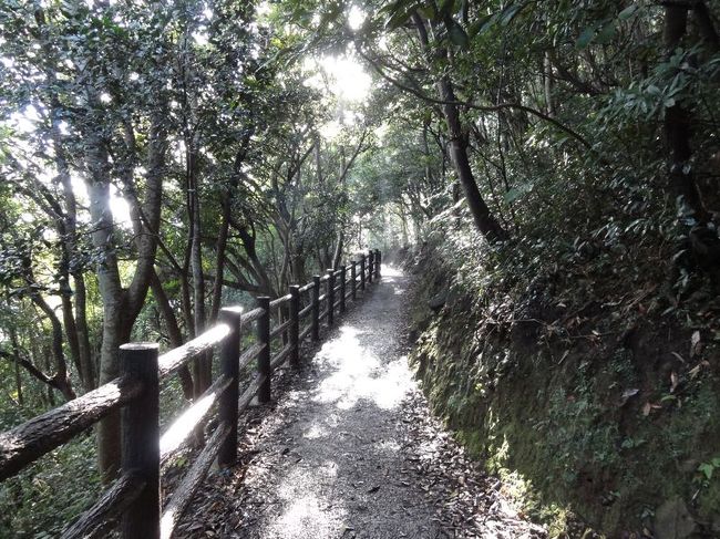 結構道がうっそうとしています。<br /><br />こんな道を数分歩くと……、