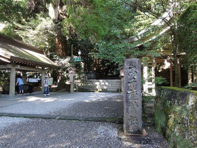 鳥居をくぐると、すぐに厳かな感じ。