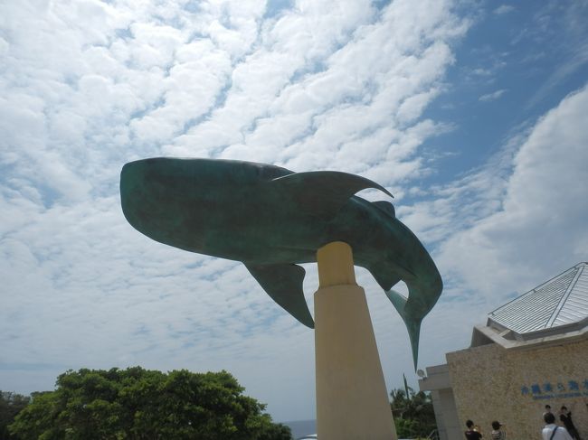 美ら海水族館、平日でも充分混んでます。<br /><br />沖縄旅行にきたらはずせないスポットだもんな〜。