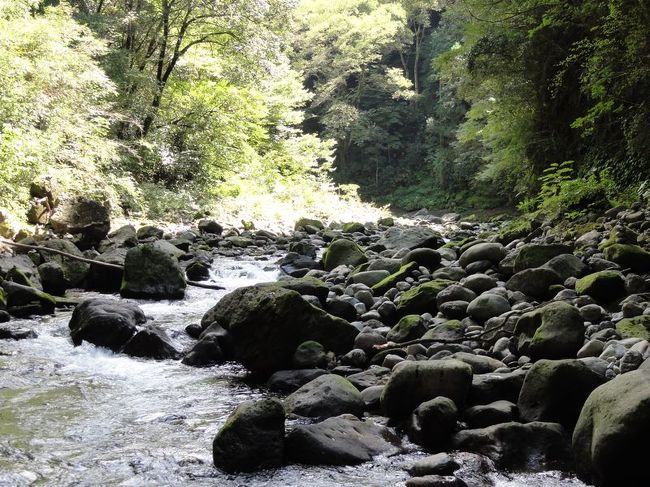 この河原の石を積んでいるのかな。とにかくスゲー積んでいる。<br /><br />一応、ワタシもスペースを見つけ3段ほど積んでみました。