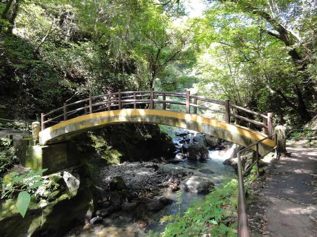 某芸能人占い師で有名なあの人がこの橋がとんでもないパワースポットということを行ったおかげで、みなさんここで撮影していました。