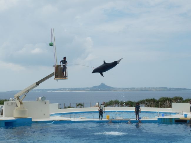 イルカショーもしっかりみて、水族館を後にし、<br />次に向かうは「沖縄ドライブの大定番」らしい古宇利島。<br /><br /><br />②に続く。