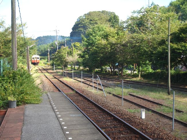 きたーと思ったら