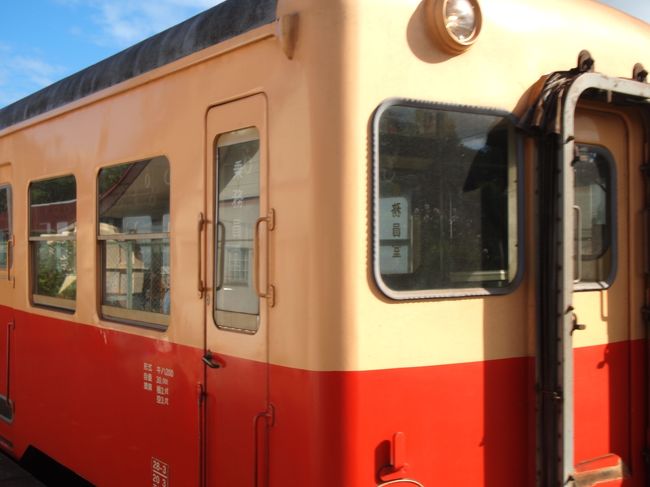 シャッターチャンス逃す。ｗ