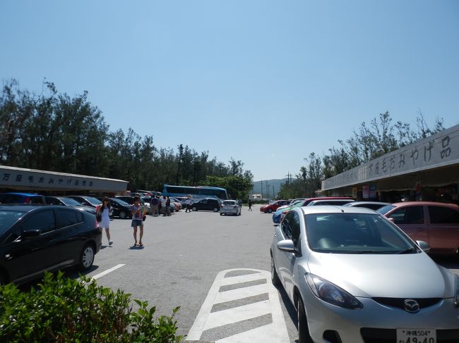 ここまで来たら万座毛もちゃんと見ておかないと。<br /><br />駐車場はそれほど大きくないので、<br />駐車待ちが結構出そう。<br /><br />行くなら早い時間が良さそうです。