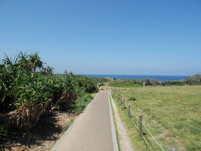 海はこれでほぼ見納め。<br /><br />那覇へ戻り、これまた定番の首里城へ。