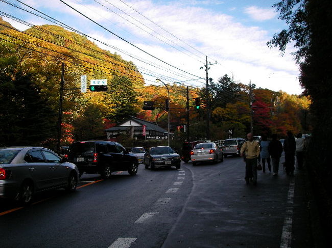 あらぁ〜・・・入り口付近の駐車場へは大渋滞(^_-)-☆<br /><br />この時期は少し手前（３００Ｍくらい）の駐車場を利用すれば案外速やかに駐車出来ますので御参考に。<br /><br />入口付近は体の不自由な方優先の駐車場を作ればイイのに・・・と思いましたが、健常者が無駄に利用してしまうのも考えものです。<br /><br />駐車場は臨時を含め無料ですのでご安心を♪<br />