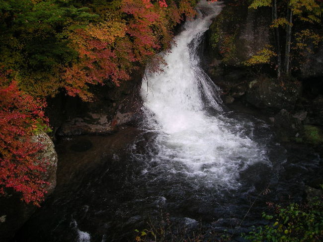 ２１０メートルの落下には迫力あり！