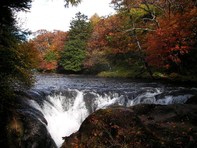 もう少し上の方に行くと静かな流れが小さな滝を作ってます。<br /><br />ここからはまた下に降りて戻ろう！