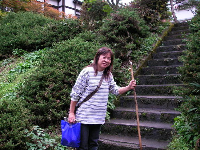 庭園やその奥の川沿いも散歩・散策出来ます！<br /><br />急な道もあるのでこの杖も用意されてます。