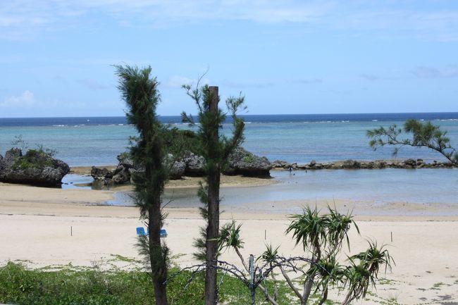 一番潮が引いた頃かも。