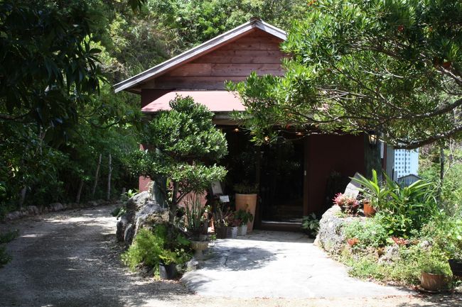 お昼ごはんを食べに外出しました。<br /><br />沖縄カフェブログで見つけた「七色の風」。<br />お店の電話番号が携帯だったので、ナビでも検索できず、迷いに迷ってたどり着きました。お店の人にもいっぱい迷惑をかけています･･･<br />コンビニcoco読谷店の向かいの道を入っていくと突き当たりにあります。<br />山の中に迷い込んだような場所でした。