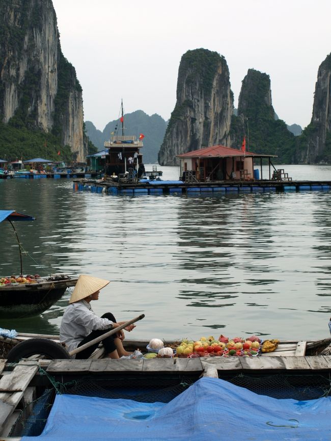 クルーズ中にも花や果物を売る船が近づいて来ます。<br /><br />ベトナムらしい風景ですよね。