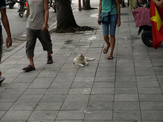 ハノイは治安が悪いというイメージでしたが<br /><br />怖い思いをすることも無く、無事に帰国することが<br /><br />出来ました。<br /><br />ただ、帰国後に激しい下痢で病院に行くことに<br /><br />なりましたが…<br /><br />カフェのジュースに入っていた氷がいけなかったのか<br /><br />ブンチャーにたっぷり添えられた生野菜が原因なのか<br /><br />今となってはわかりません。<br /><br />でもせっかくの海外旅行。<br /><br />美味しい物はガマンしないでいっぱい食べなくちゃ！<br /><br />