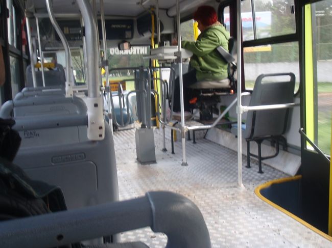 イグアスの街を走っているバスの車内。<br /><br />車掌さんが乗っていて、お金を払って中に入るシステム。<br />だけど、スーツケースとか持っていると、あの回転する仕切りを通るのが一苦労・・・。