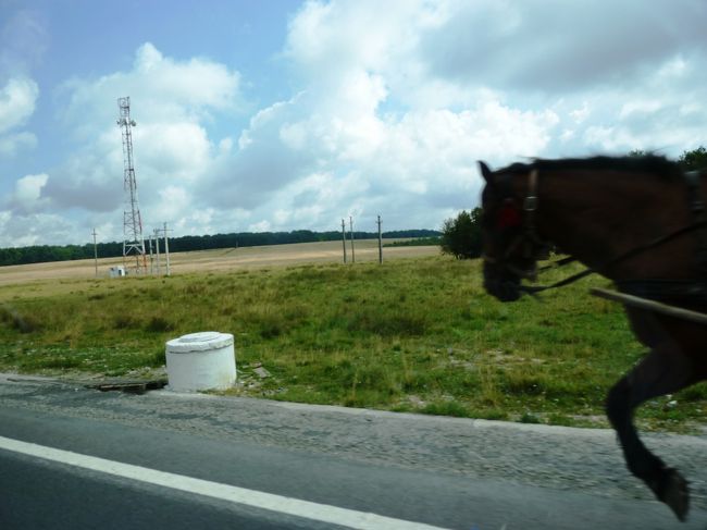 トランシルヴァニア地方周遊とチャンゴーの村々５日目 シビウ その他の都市 ルーマニア の旅行記 ブログ By Jy さん フォートラベル