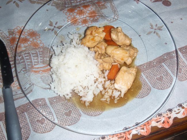 ジャングル1日目の夕飯は、私が担当。<br /><br />日本から持って行った焼きとりのソースを使って、鶏肉とニンジンを煮込み、ライスを添えました。