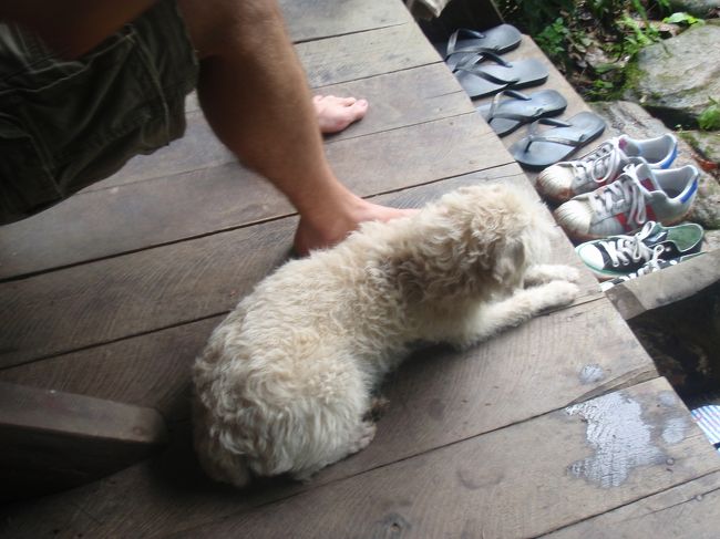 ＜8月26日＞<br />朝ごはんを食べ終わって、くつろぎ中。<br /><br />近所の犬がこのコテージを気に入って（というより、友達のことを気に入って）ずうっと一緒にいました。