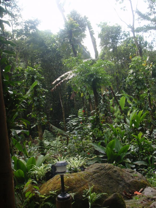 コテージの周り