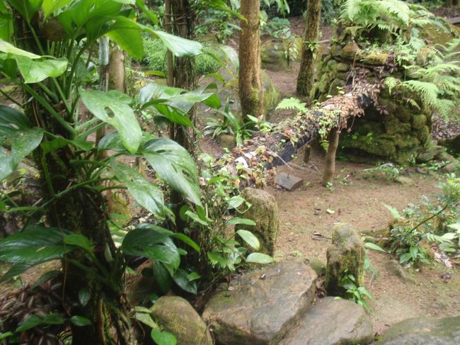 友達が考えた、ろ過装置<br /><br />これによって、汚れた水を自然に流しても大丈夫なんだとか。