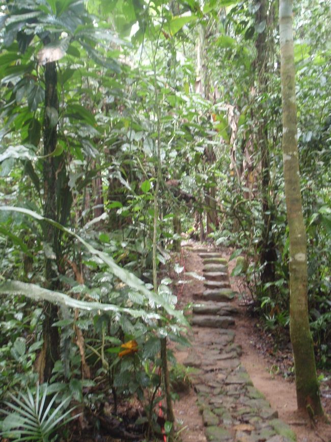 コテージへ向かう道