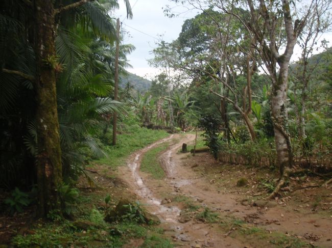 コテージへ入る道の入り口<br /><br />ここまで車で入ることが出来、ここからは歩いてコテージへ。