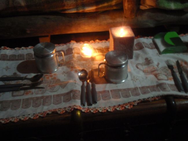 ジャングル2日目の夕食。今日はブラジル人の友達が担当。<br />何が出てくるか、楽しみ〜！！！