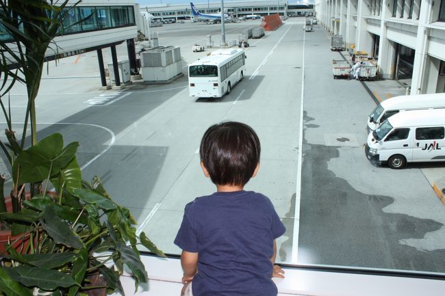 車と重機で頭がいっぱいのコドモ。<br />空港は大好物がいっぱいです。