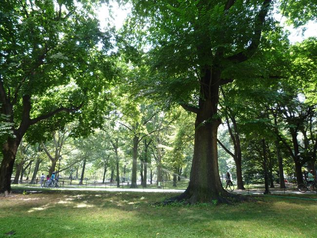 この日はピーカンで直射日光が当たるとこは暑っ！<br />でも、日本より湿気がなくって日陰は心地いぃ〜！