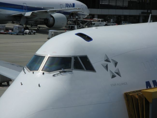 成田での一場面。整備士は直ぐに引っ込みましたが、以外にも操縦席の窓はこの扉から身を乗り出してトンボのような物で磨いていました。