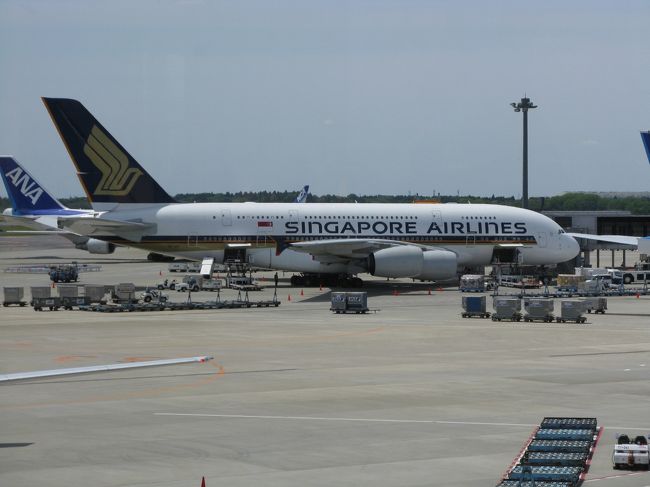 シンガポール航空のエアバスＡ３８０です。横から見るとずんぐりしてます。