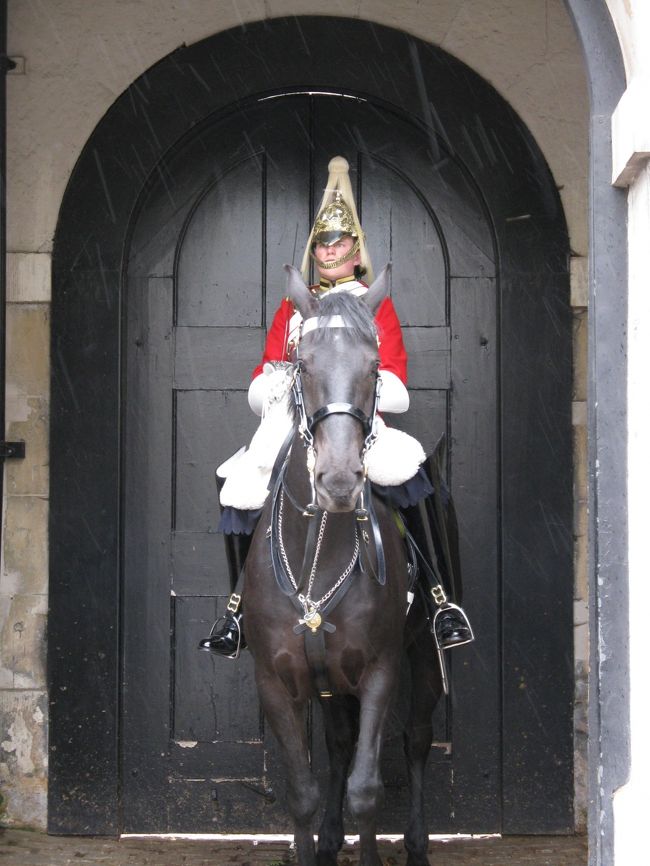 動きませんねー。