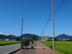 蛭ヶ小島の前に延びるレンガの道を、西に向かって進んでいきます。
が、人は歩いていませんでした…。