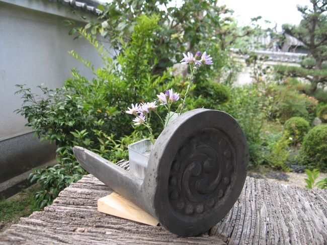 10年ほど前から数年前まで某奈良サイトの掲示板で親しくさせていただいていたMさんがこちらのお寺と親しくしているそうで<br />「仕事が休みの時はお手伝いにきていますから、お越しください」<br />と言われていました。<br /><br />お堂で解説してくださった男性に<br />「あの〜Mさんという方は・・・」<br />と聞いてみると<br />「あっ僕ですが、どなたさまで?」<br />と。まあびっくり!<br />「某さんの掲示板でお話したコクリコです(本名を名乗ろうか、某さんのサイトでのHNにしようかと迷ったのですが、一番わかりやすいコクリコにしました)」<br />「ああ、コクリコさん!」<br />と感動のご対面・・・Mさんは感動したかどうかは不明。