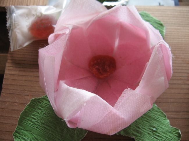 れんじょう寺さんのファンは多く共通の友人たち・・義臣さん、めぐみさん、etc.の話でしばし盛り上がりました。<br />「コクリコさんと言うのね、メモしておこっと」<br />とご住職さま。<br /><br />