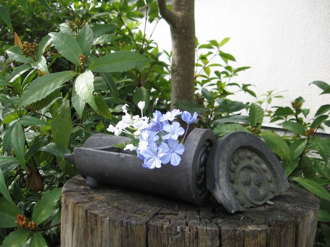 お庭の花と古い丸瓦のあしらい方がとても素敵です。<br />庭や廊下の所々にセンスよく置かれていました。<br />心が休まるとともに、親戚のお寺さんに伺ったような親しみもある特異なお寺さんだと思います。<br /><br />