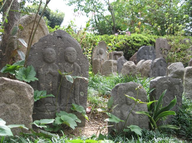 本堂で呼び鈴を鳴らしたのにどなたも現れないので、庭の石仏や花を写すことしばし。<br /><br />何回も鳴らしていたら、近所の方が気がついてくださり、若奥様を呼んでくださいました。<br /><br />こちらの若奥様も気さくな方で、冷たい麦茶をいただきました。