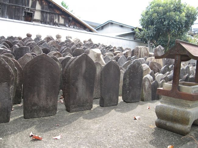 奥様は福智院の由来を説明してくださいました。<br />中には私たち二人だけなので、世間話するように。<br /><br />れんじょう寺のような美しい秘仏がないので拝観する人はまれなのでしょうか。<br /><br />福智院は天平8年聖武天皇の建立、開祖は玄書・B<br />明治初年の廃仏毀釈により領地や什物を失い荒廃に向かいましたが、昭和30年に国の文化財保護法の適用を受けて解体修理が行われ、本堂が甦ったそうです。<br />現在は真言律宗(総本山西大寺)に属しています。<br /><br /><br /><br />