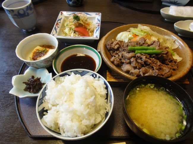 今右衛門の後、マイクロバスは　有田陶器の里プラザ（有田焼卸団地）へ。<br />運転手さんが一番奥の　カレー屋さんのところで下してくれて、今度帰るときは　入口の和食屋さんの駐車場へバスを回して止めてくれるとのこと。<br />ここでお昼を含め１時間２０分のフリータイム！　ここはおすすめですよ〜♪<br /><br />有田焼を扱う２５件の店からなるショッピングモール。中央の広い道をはさんで、左右にゆったりとお店が並びます。通常で３割引き。さらにお得のものもあります。<br />　２−３人ずつばらばらになって、お茶碗や焼き物皿やいろいろお買いものしました。和食のお店で　おち会って「え？それどこで買ったの？」とまた一番奥のお店に走る一幕も。　みんな　満足のお買いものできたかな？<br /><br />和食「赤絵」でいただいた「焼肉定食」。<br />お肉のボリュームがいっぱい！！「ごどうふ」（呉豆腐）という有田の郷土色もいただきました。<br />　お豆腐を作る時の呉汁に、くず粉やでんぷんで固めたもので、プリンのように弾力があり、独特の触感が美味しい逸品でした。<br /><br />　初めての有田。行きたいところは　たくさんあったけど、有田焼のルーツの場所と<br />皿山通り、トンバイ塀、そして深川製磁はじめ有名なお店を訪ね、最後のところで<br />またゆっくりお買いものできて、地元のお料理もいただけて、満足！！の有田の旅になりました。<br />　次は　佐世保の西海橋へ！（別の旅行記に続きます）<br /><br />