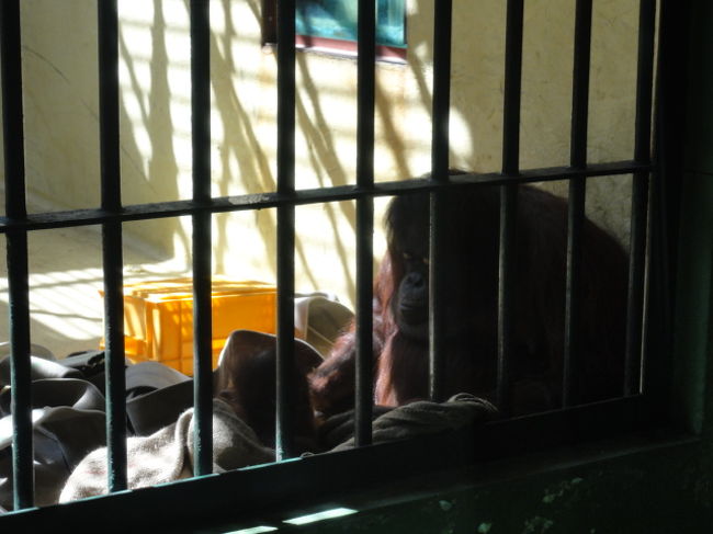 お母さんは、ハヤト君が遊んでいても、しっかりと抱きかかえて。見守っています。子育てしてる〜！