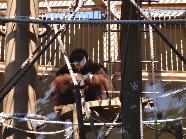 お父さんの弟路朗。<br />凄く顔が大きくて、貫録あります。