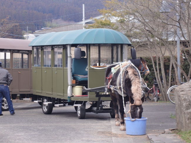 駅前に辻馬車も。これは10名乗り　50分 \1,500.-<br /><br />ぱっかぱっかとお馬にひかれての町散策も楽しそう。
