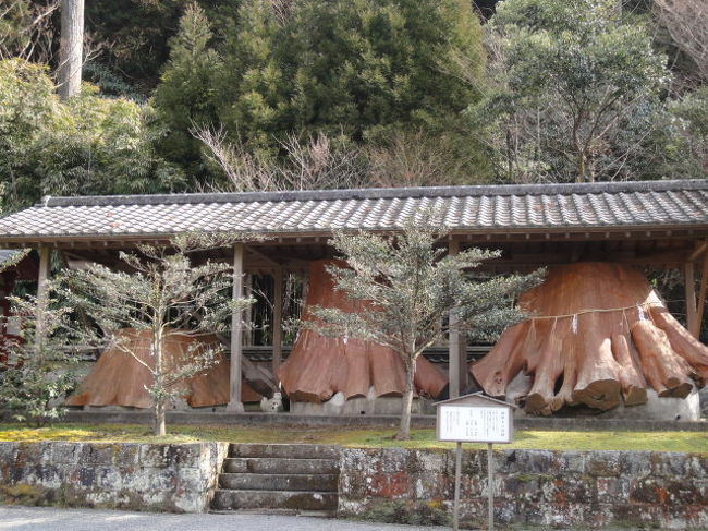 宇奈岐日女神社。<br /><br />樹齢？？年の　大きな切り株がまつられています