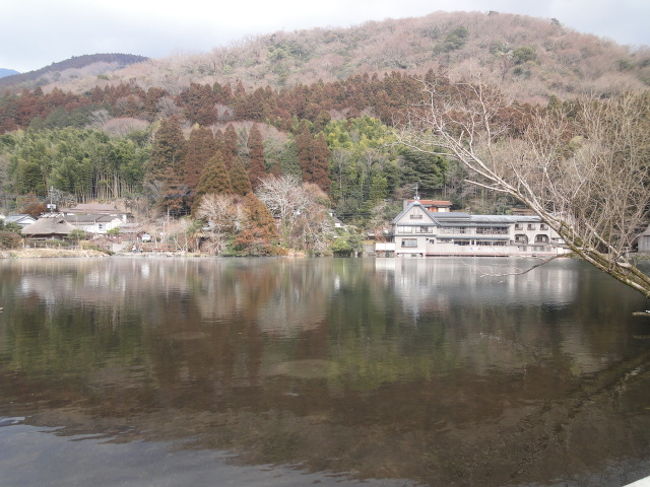 金鱗湖をぐるっと回って　亀の井別荘でタクシーを降りました。<br /><br />これが金鱗湖。温泉が流れ込んでいるので、池の水はあたたく、冬はもわーっと白い湯気が立ち込めたりするそうです。<br /><br />小さな湖です。<br />湖畔にシャガール美術館があり、寄ってみました。