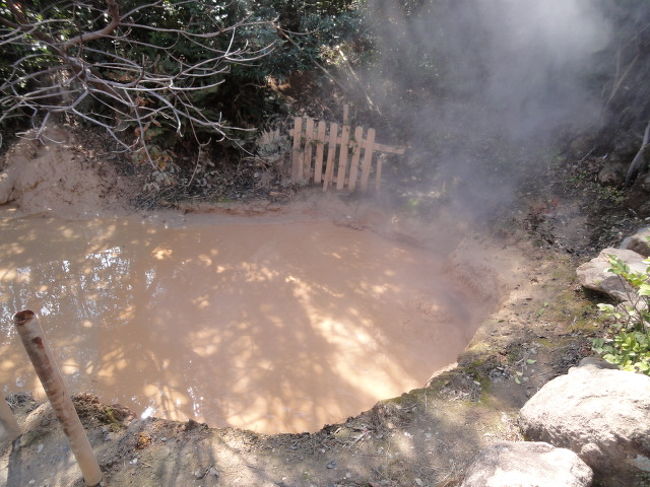 写真はありませんが、4人が途中下車して<br />「別府保養ランド」へ。こちらは、泥の温泉の混浴露天風呂があるところ。施設が古くて、ちょっとマニアックなので、多くの方には<br />地獄めぐりの後、ひょうたん温泉で温泉とお食事を楽しんでいただくことに。<br />　まとめ役の私が、王道を外れて、泥風呂の方へ参加してしましました。＞＞皆様ごめんなさい。<br /><br />　で、泥風呂。昔からあるところのようです。入口でお金を払うとロッカーのカギをくれて、そこに荷物を入れます。テクテクと歩きにくいスリッパで長い渡り廊下を下り、お風呂の券を入口で出します。ここも畳で休憩ができるみたい。最初のお湯は　茶色っぽい泥湯です。脱衣室に荷物を入れてお風呂に。ゆっくり温まります。<br />　十分温まった後、バスタオルを羽織って次のお湯へ。次は薬度が高いので長湯は禁物というお湯でした。自分が沈まないようにバーをもって入ります。白い泥で濁っています。<br />　次が混浴。入口は別々ですが、体を湯に沈めたままオープンスペースに出ると、男性のお湯とは竹ざおで一応仕切られています。アベックは仕切りで話しています。<br />　場所によって泥の具合が違います。次にちょっと離れた泥風呂へ。そのためには外をバスタオルを羽織って歩かなくては。若い女の子がそこを歩くと男性の目は釘づけに。なかなか、スリリングな場所ですね〜。<br />　私たちもそこに入りに行きました。静かでなかなか良かったです。体が痛かった先輩も気に入ってくれたようで良かった。<br />