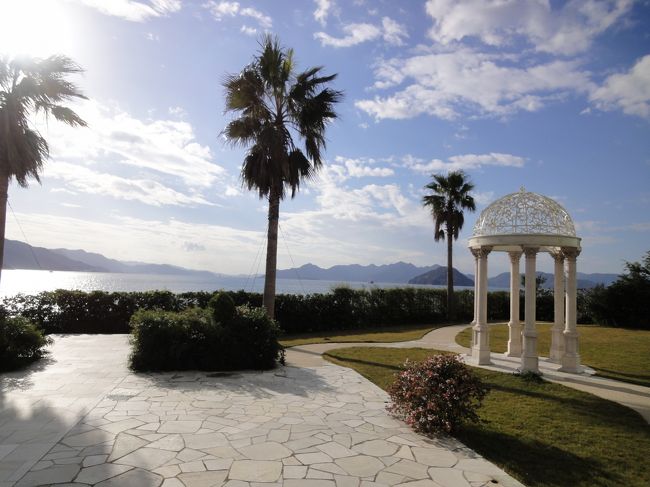 広島プリンスホテルの敷地内をお散歩。可愛いです。