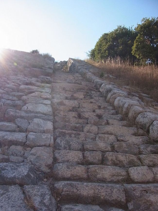 こんな階段も。