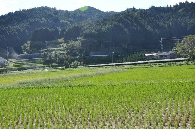 のどかに広がる田園