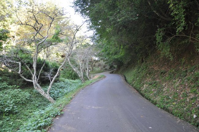 石段の後、坂道を上ります。